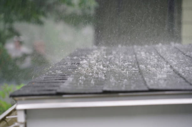 Best Roof Maintenance and Cleaning  in Tiptonville, TN