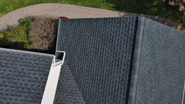 Best Sheet Metal Roofing  in Tiptonville, TN